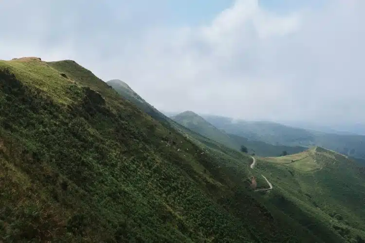 Passer un week-end au coeur du Pays-basque